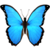 :butterfly: