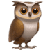 :owl: