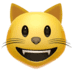 :smiley_cat: