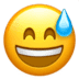 :sweat_smile: